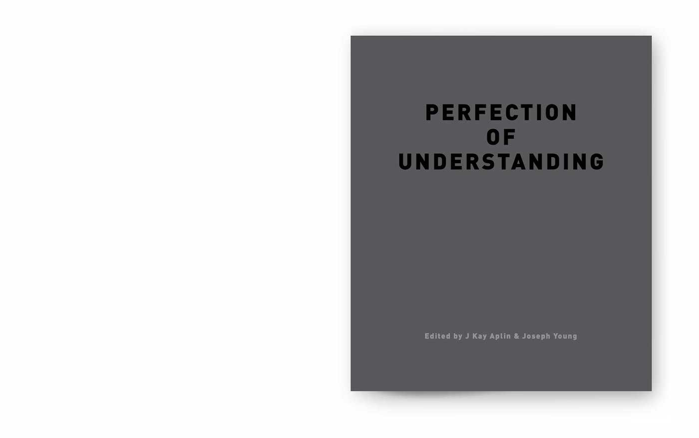 1 perfection understanding book