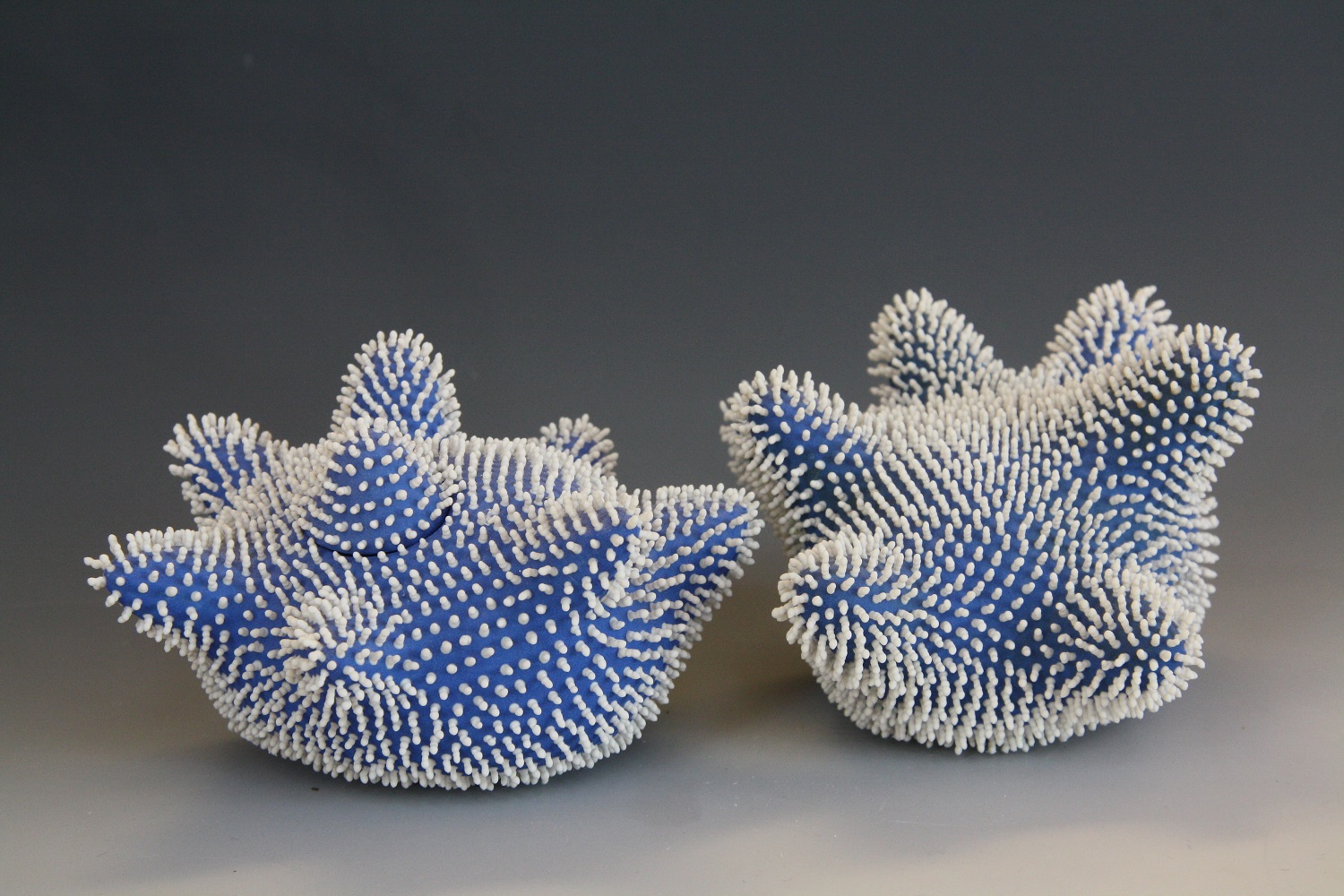 Anne Türn, Hands, porcelain, coloured porcelain slip, 13x13x9cm, 2012